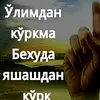 user2429029707350