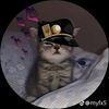 matvey_jotoru