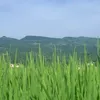 .doeqm45