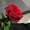 user3802021219225