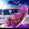 rao.jee51