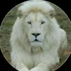 nvufcuftuvdj4533