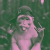 mas_jull077