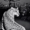 comsocheetah