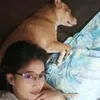 armifinds