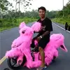 labibrakana