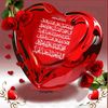 user8168575173779