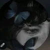cat_.n19