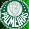 .palmeiras_avanti