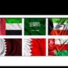 ali_emorry_4