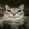lubbue__