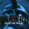 panterafan38