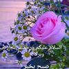 user501921327