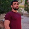 dima29435