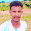 user7129007331321