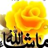 nour16418
