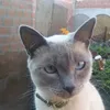alexbel0409
