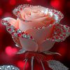 walid.mokran8