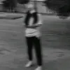 n._.h313
