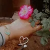 ghader.ibrahim6