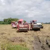 brayanajose09