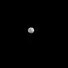 linhvo66553