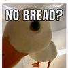 funny_duckguy