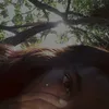 beatrizjbl