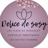 delice_de_sosy