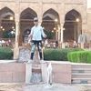 omer.sayed41