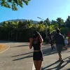 arevirmae