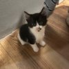 leah_grace_ss