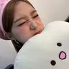 wonheespiga