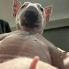 lthqunhnh80