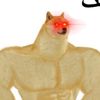 memezcatcher