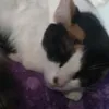 ninini_12345