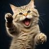 beautifulcat544