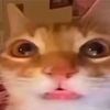 pepito_476