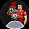 misterdiogojota