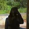 tsya_aja4