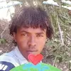 user4880348314133