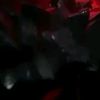 wax_773