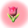 ina.updirahman5