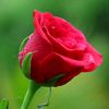 md.reyaz.miya