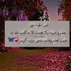 user433593798178
