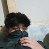 denz_734