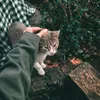 user2018785513959