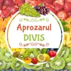 Aprozarul DIVIS