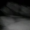 n736754
