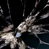 soi_2822002